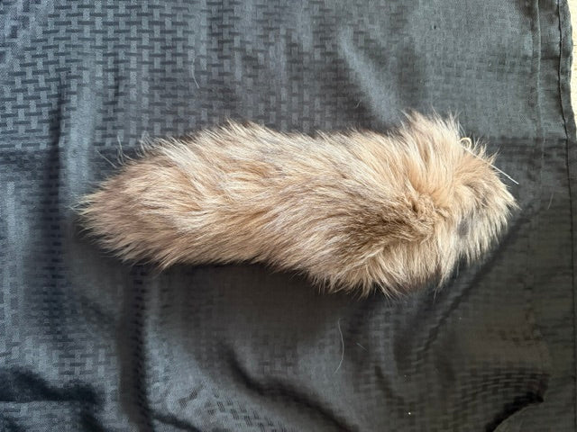 Colored Fox Tail: Brown