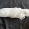 Fox Tails
